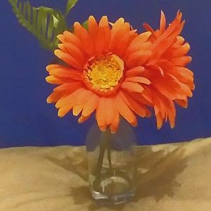 Meet your Posher, Jaylynn